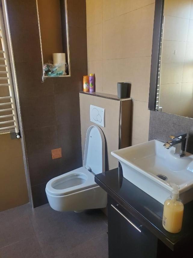 Apartman Kosta Lux Belgrade Exterior photo